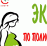 В 2021 году в рамках территориальной программы ОМС Пензенской области проведено 919 процедур ЭКО - Иссинский район