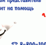СТРАХОВЫЕ ПРЕДСТАВИТЕЛИ – ГЛАВНЫЕ ПОМОЩНИКИ ПРИ ПОЛУЧЕНИИ МЕДИЦИНСКОЙ ПОМОЩИ - Иссинский район