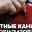 Как подать заявку на кредитные каникулы для военнослужащих? - Иссинский район