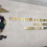 Госавтоинспекция информирует о возможности поступления в Орловский юридический институт МВД РОССИИ им. В.В. Лукьянова (ОрЮИ) - Иссинский район