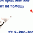 ПРОБЛЕМЫ ПАЦИЕНТОВ РЕШАЮТСЯ ОПЕРАТИВНО - Иссинский район