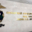 Госавтоинспекция информирует о возможности поступления в Орловский юридический институт МВД РОССИИ им. В.В. Лукьянова (ОрЮИ) - Иссинский район