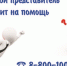 СТРАХОВЫЕ ПРЕДСТАВИТЕЛИ ПРОДОЛЖАЮТ ОКАЗЫВАТЬ ГРАЖДАНАМ СОДЕЙСТВИЕ В ПОЛУЧЕНИИ МЕДИЦИНСКОЙ ПОМОЩИ - Иссинский район