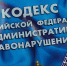 Госавтоинспекция Лунинского района информирует граждан об ответственности за неуплату административного штрафа в срок - Иссинский район
