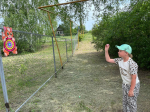 Сегодня школа искусств распахнула двери для школьников