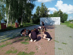 Хранители истории