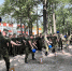 Гвардейцы попробовали свои силы в соревнованиях по гиревому спорту - Иссинский район