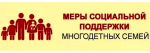 Меры соцподдержки теперь доступны всем многодетным семьям