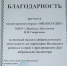 Слёт юных волонтёров - Иссинский район