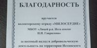 Слёт юных волонтёров - Иссинский район
