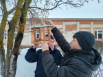 Всероссийская акция "Покормите птиц зимой"