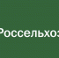 РСХБ спрогнозировал рост производства масложировой продукции в 2026 году - Иссинский район