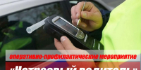 На территории Лунинского и Иссинского районов пройдут массовые проверки водителей на состояние опьянения - Иссинский район